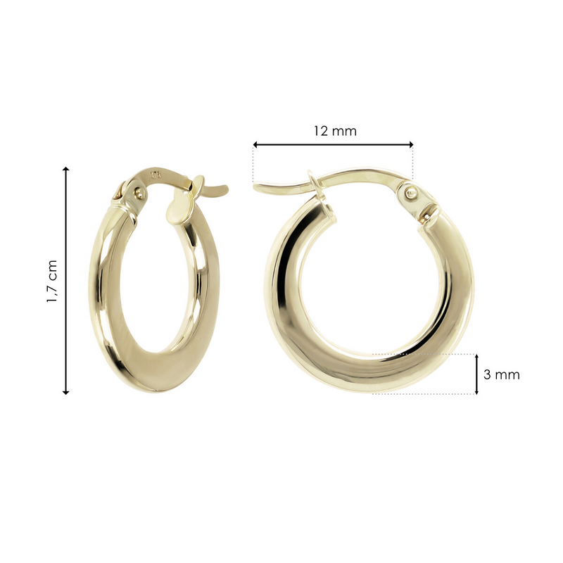 9 Carat Gold Hoop Earrings